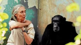 Jane-Goodall